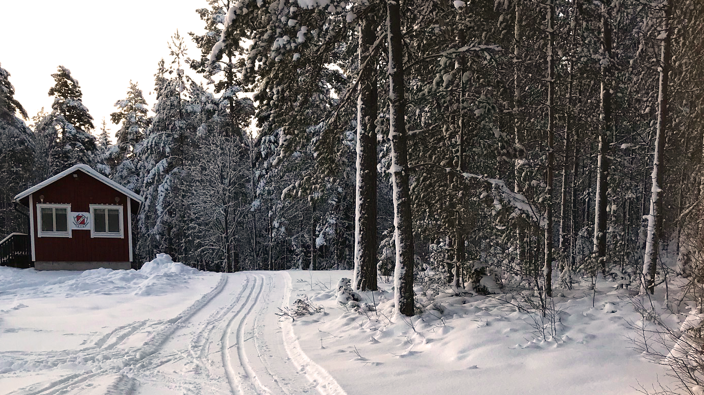 Vinterbild med skidspår och röd stuga.